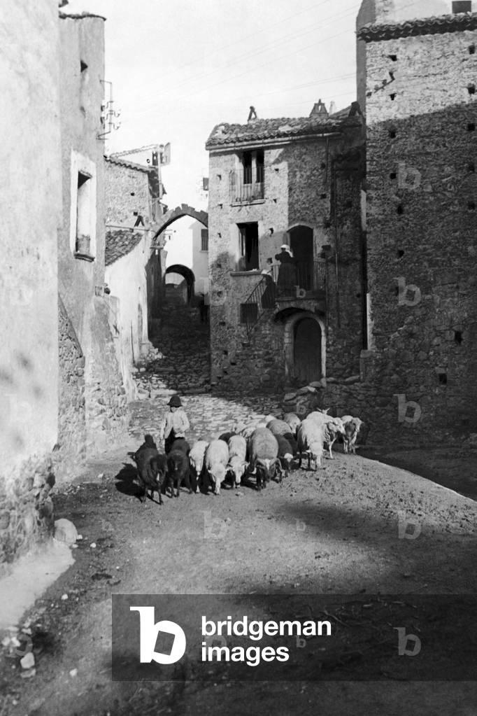 Europa, Italia, Calabria, San Giovanni in Fiore, Pastore nel Paese, 1910-20 (foto b/n)