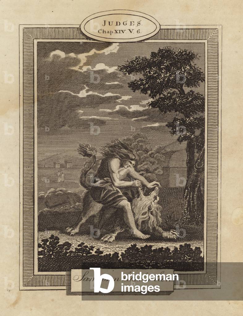 "Sampson uccide un leone (incisione)" di English School, b/w