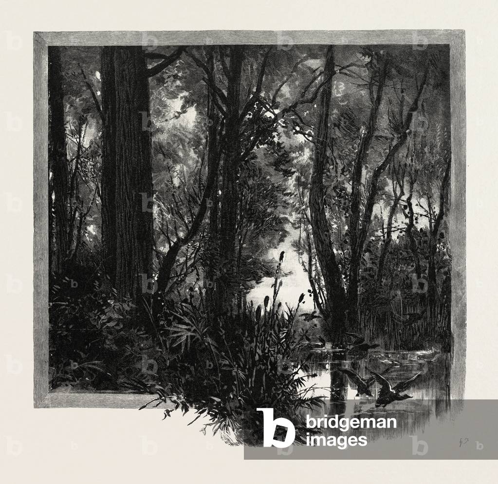 Immagine di Incisione "Banche del Fiume Rosso", b/w
