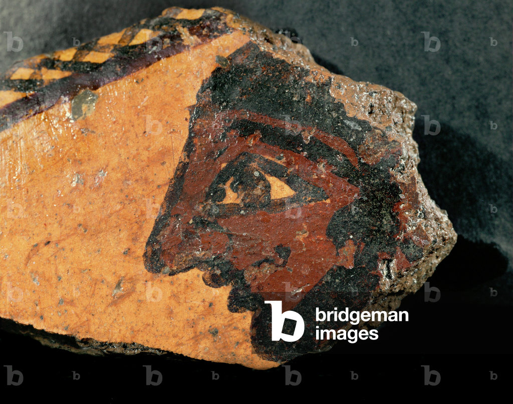 Canaanita barbuta (ceramica)