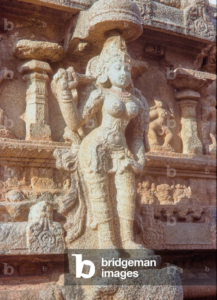 Incisioni rupestri, India, 1978 (foto)