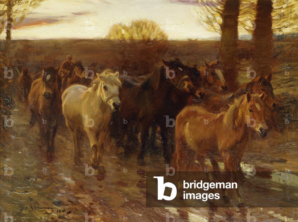 Immagine di Dipinto "pony su un corsia con gamberetti Up", 1910 di Alfred Munnings