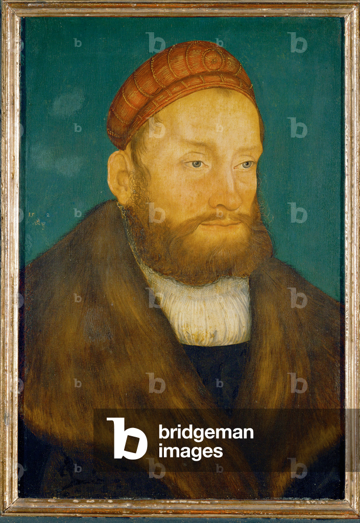Immagine di Dipinto "Markgraf Casimir von Brandenburg-Culmbach (dipinto su legno di quercia)" di Lucas the Eld