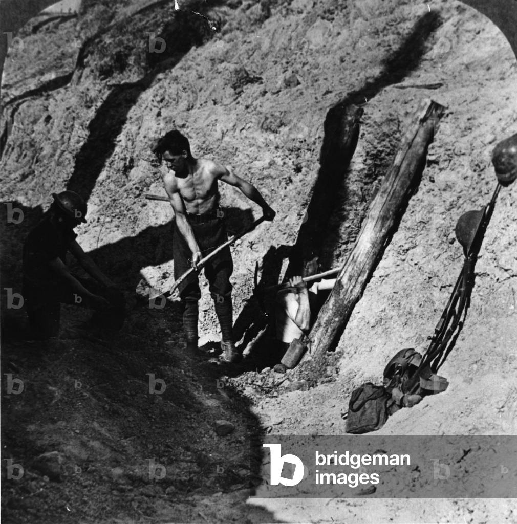 British Front Transport & Labour, 1916 (b/w photo)