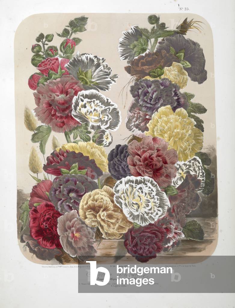 A bouquet of flowers including carnations