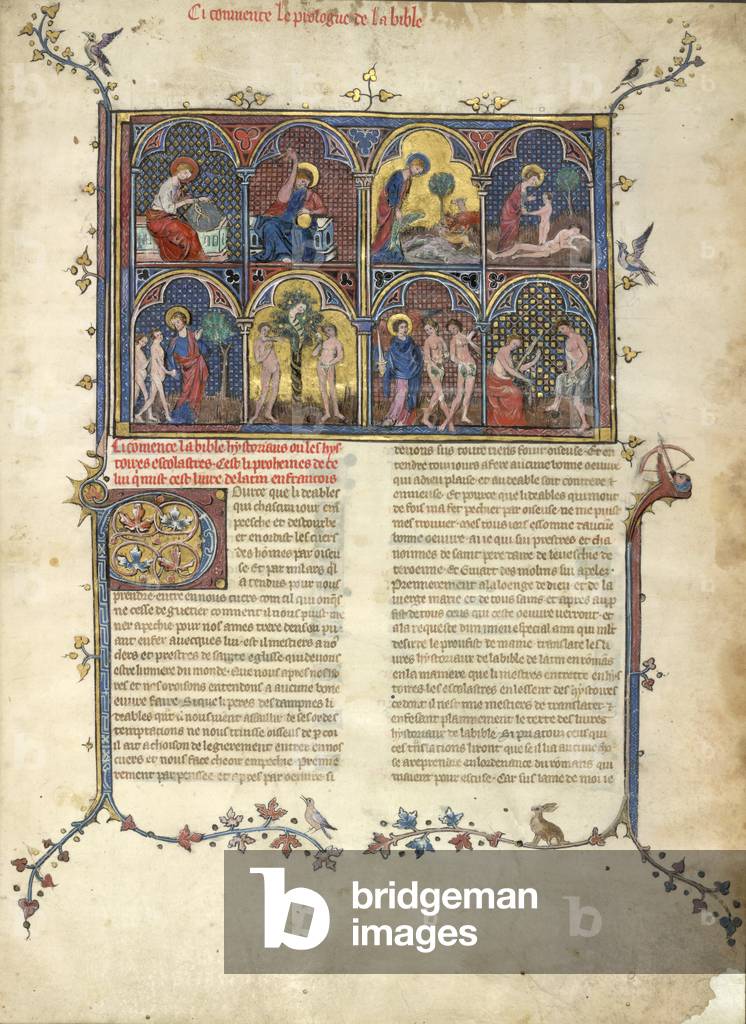 Miniatura divisa in otto portici raffiguranti scene della Genesi: nella parte superiore quattro Dio divide la 