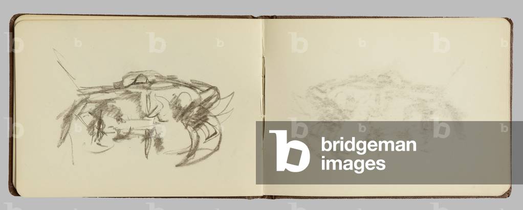 "Seite aus einem Skizzenbuch" 2015 von Lucian Freud, b/w