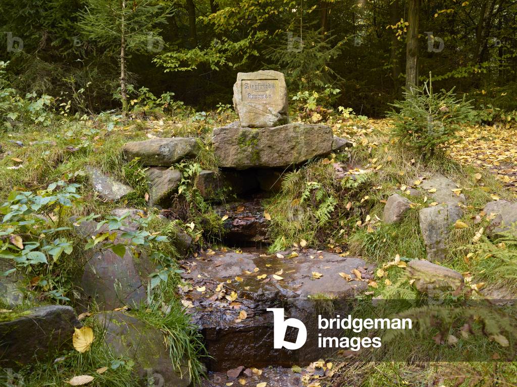 Blick auf den Siegfried-Brunnen, Grasellenbach, Deutschland (Foto)