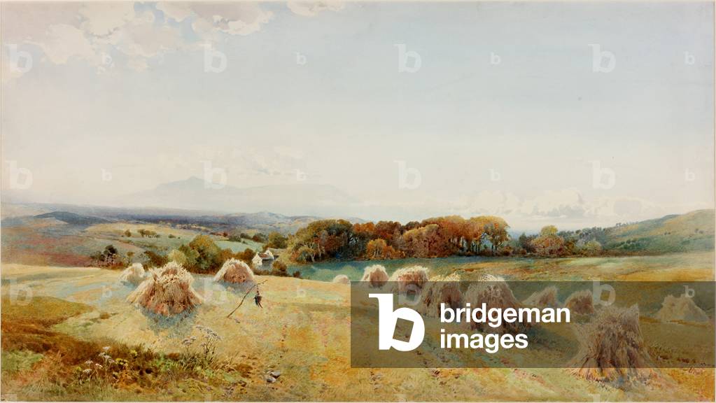 A Harvestfield, Windermere (Körperfarbe, Bleistift & Aquarell auf Papier)