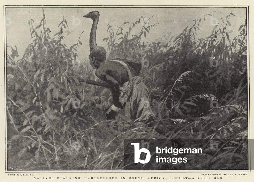 Natives stalking Hartebeeste in South Africa by Joseph Nash, b/w