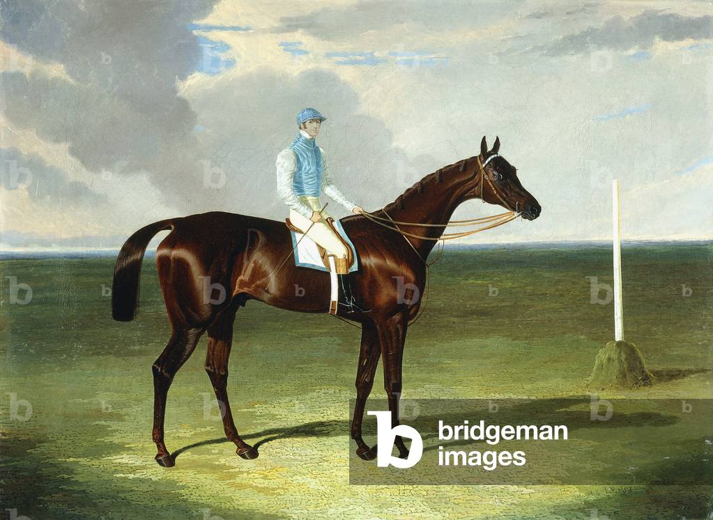 Mssrs. Ridsdale's und Gully's St. Giles mit William Scott oben, 1832 (öl auf leinwand)