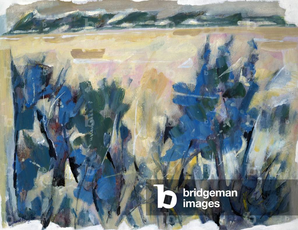 Backlands Edge, 1994