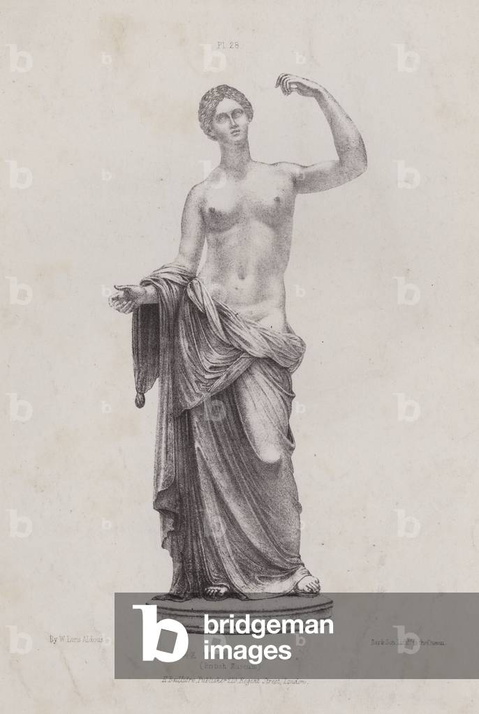 Illustration für die Anatomie der äußeren Formen des Menschen: The Townley Venus, British Museum (litho)