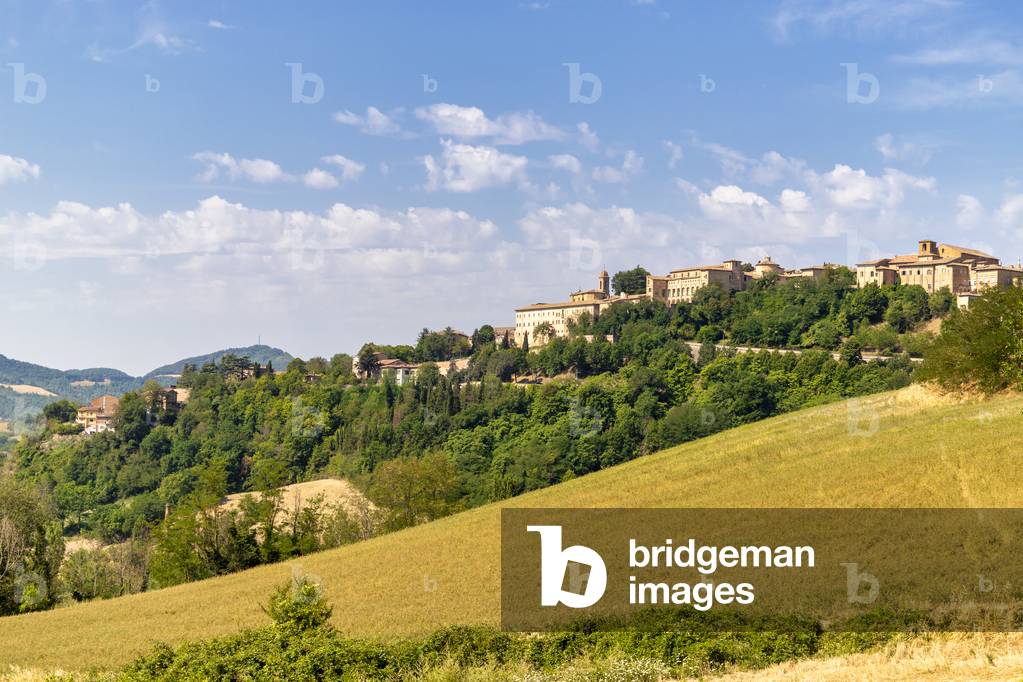 Urbino by Camillo Balossini