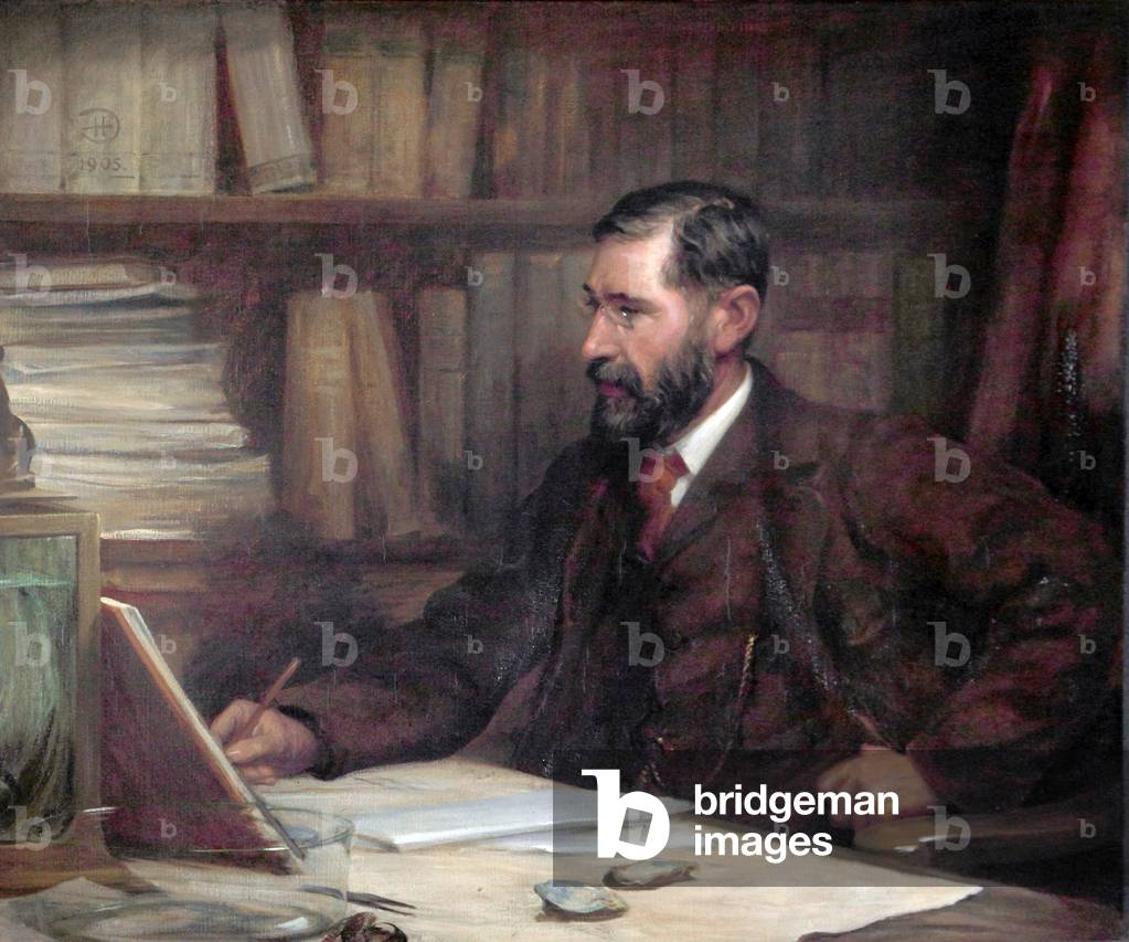 Professor sir william Abt Herdman, 1905 (öl auf leinwand)