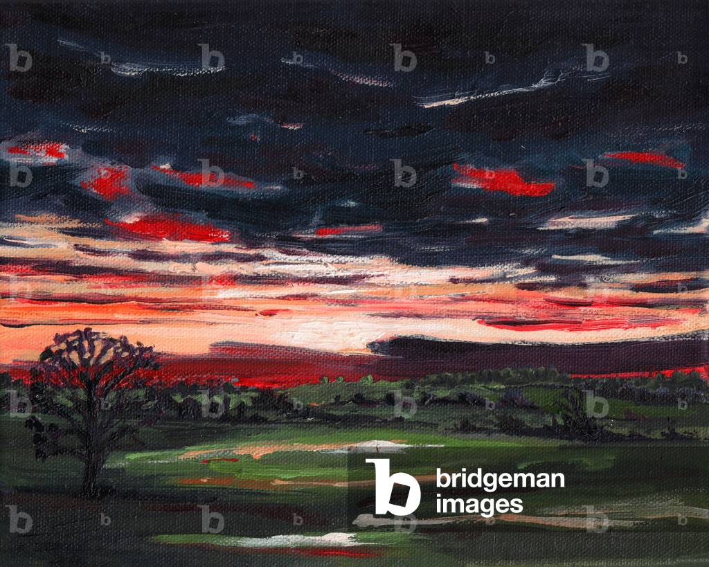 Immagine di Dipinto "Tramonto d'inverno" 2008 di Helen White