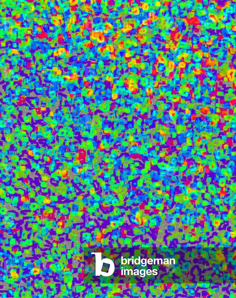 Dots, 2017 (fotografia)