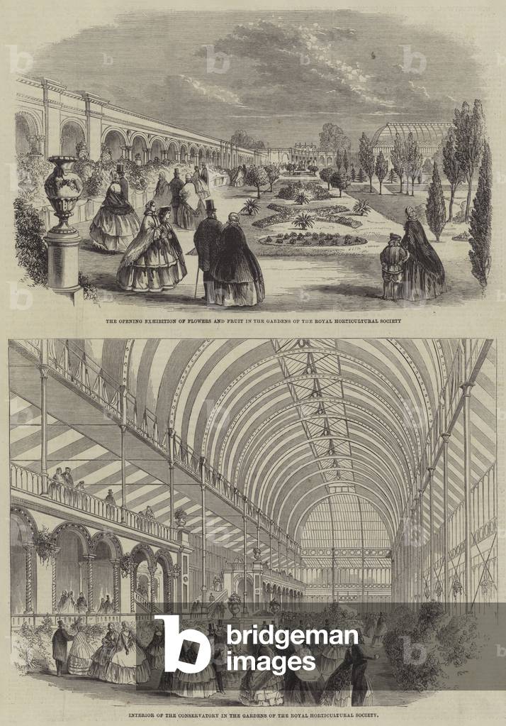 "Royal Horticultural Society in Kensington (Gravur)" von English School, b/w
