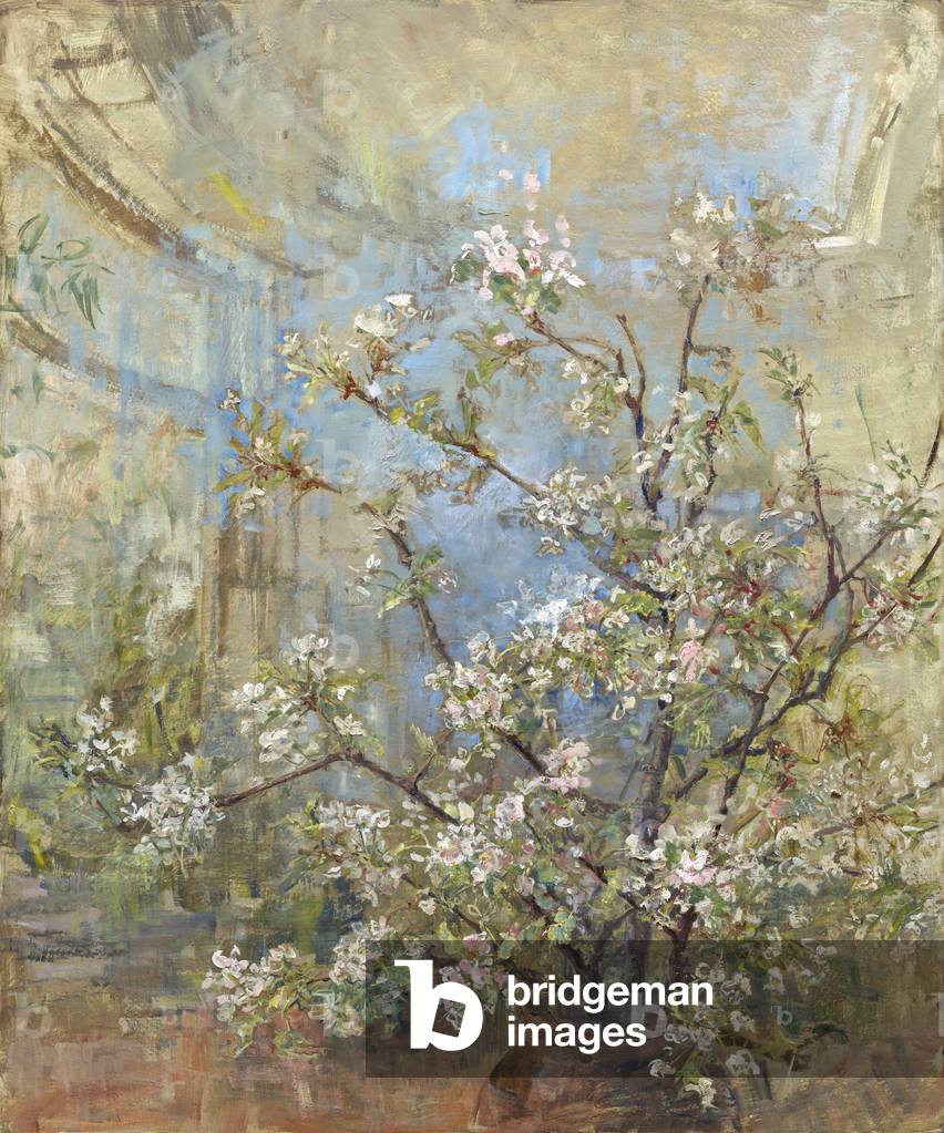 Cherry Blossom Luce e Aria, 2016 (olio su tavola)