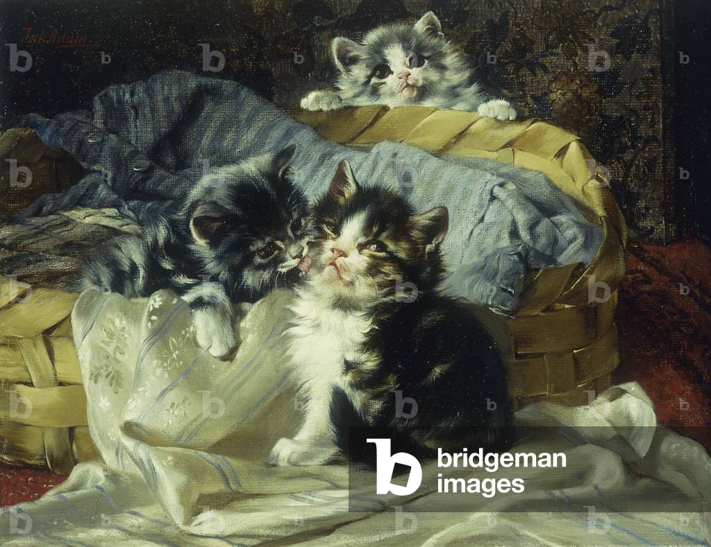 Verspielte Kätzchen (Öl auf Leinwand)