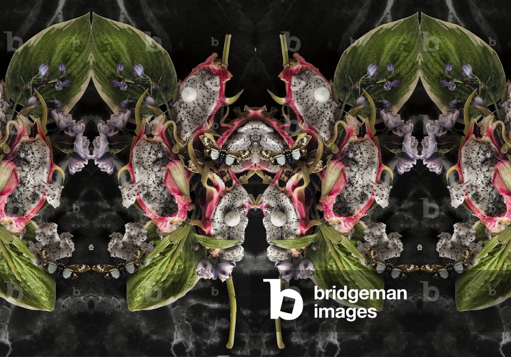 Eve_01, 2016 (Fotografia)