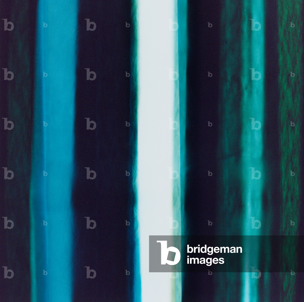 Striscia V, 2005 (stampa c-type)