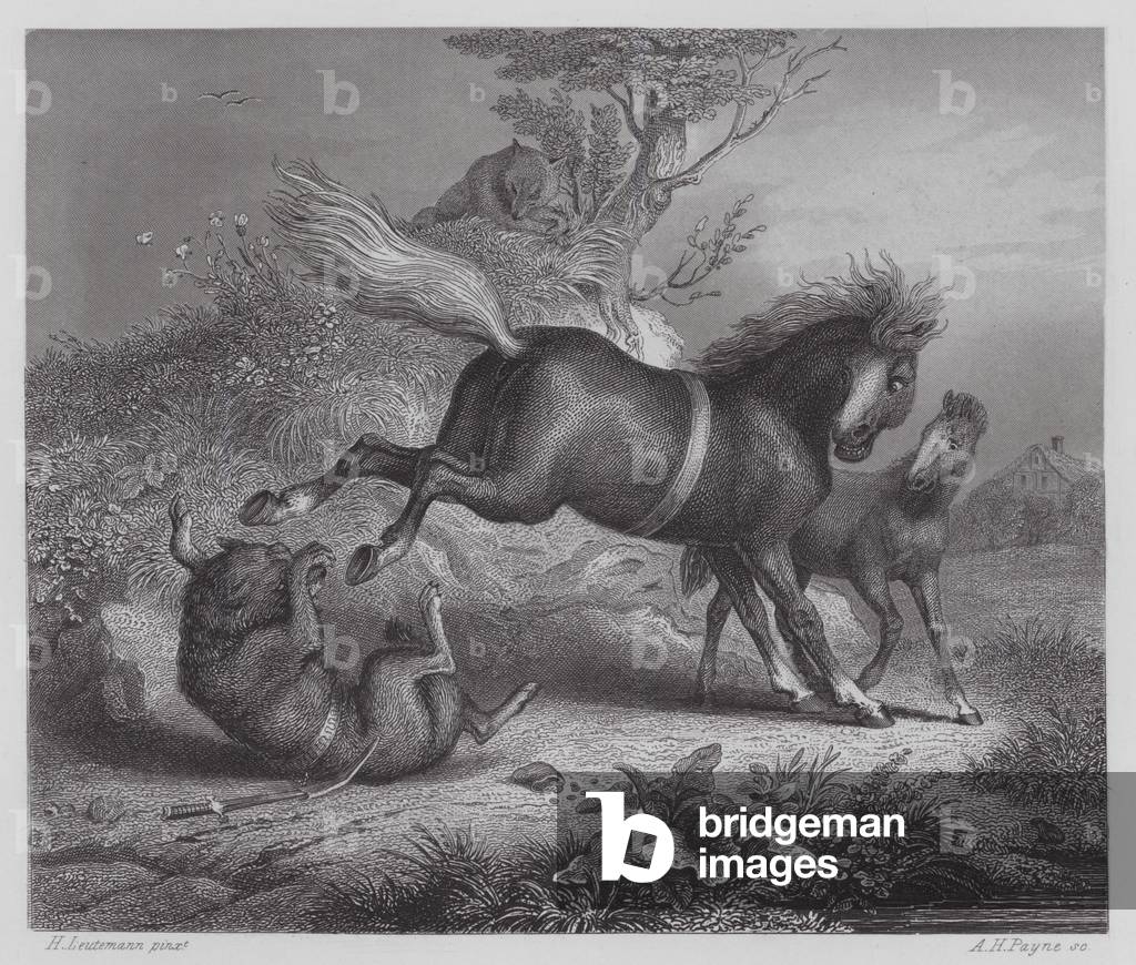 "Reynard The Fox: Die Stute und der Wolf (Gravur)" 1801 von Heinrich Leutemann