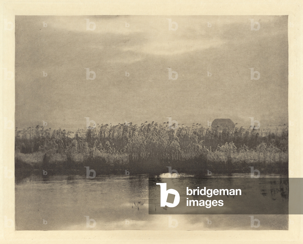 Rime Crystals, in oder vor 1895 (Foto)