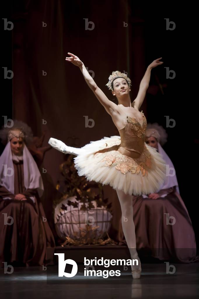 «La bella addormentata» del Bayerisches Staatsballett (foto)
