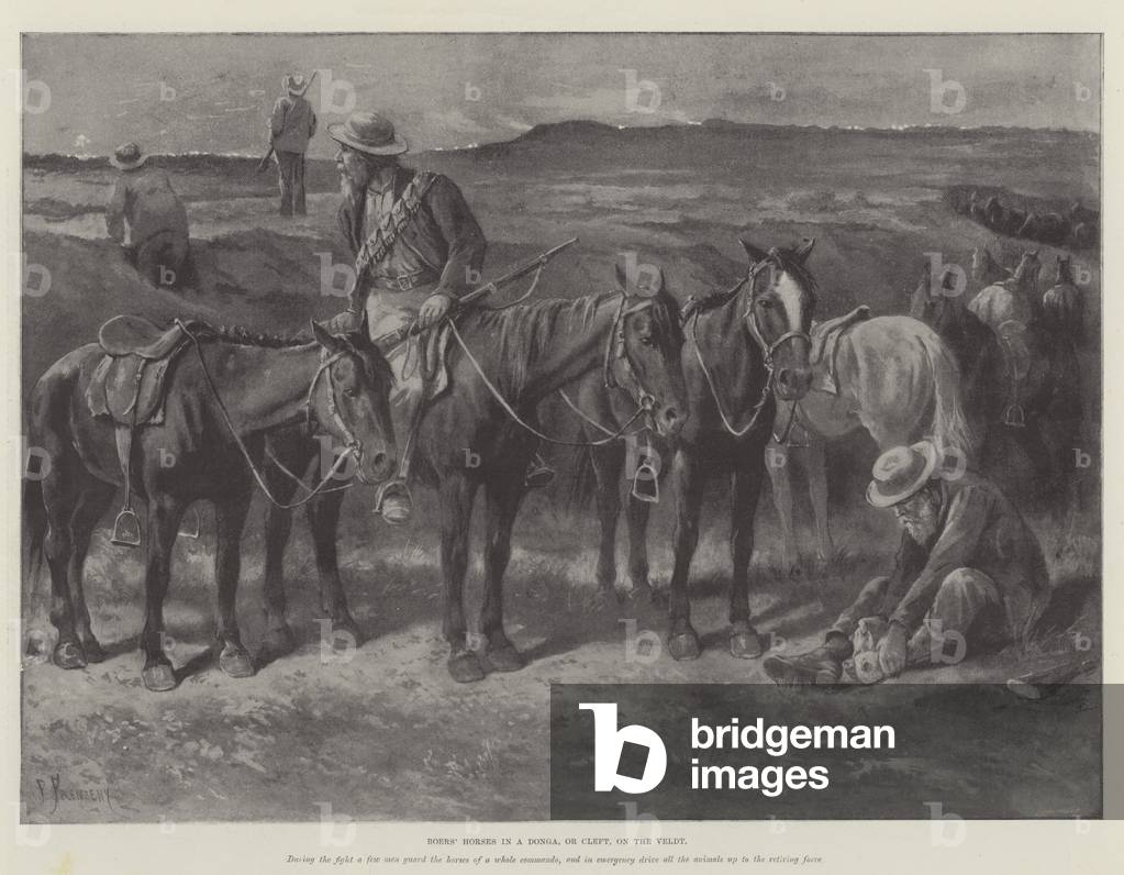 Immagine di Stampa "Boers' cavalli in un Donga" 1900 di Paul Frenzeny