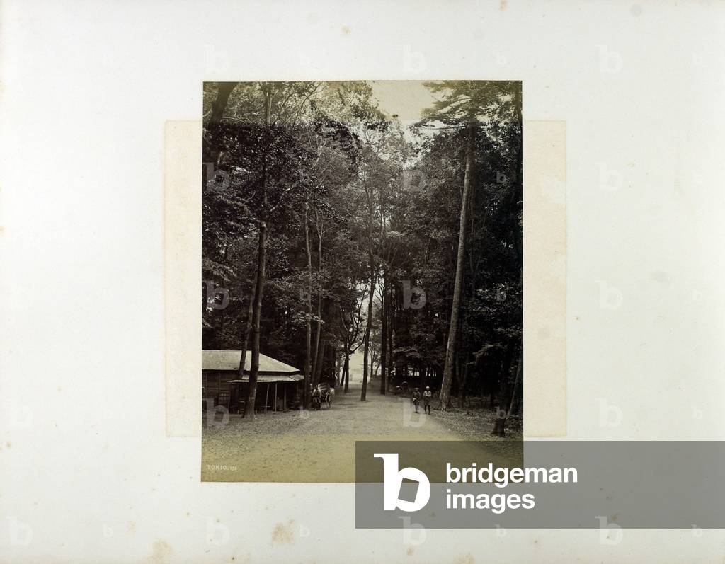 Avenue in Tokyo, sec. XIX (foto in b/n)