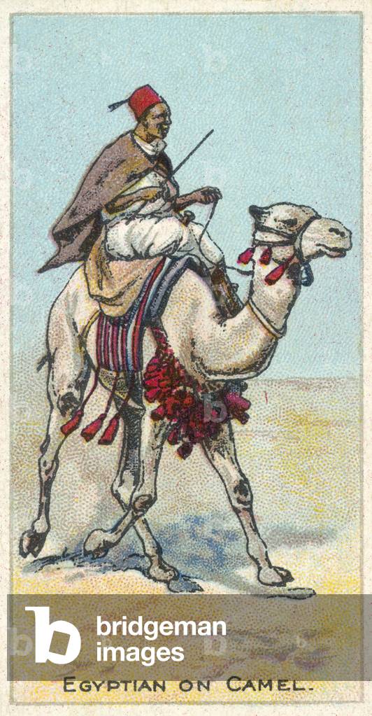 "Ägypter auf Kamel (chromolitho)" von English School