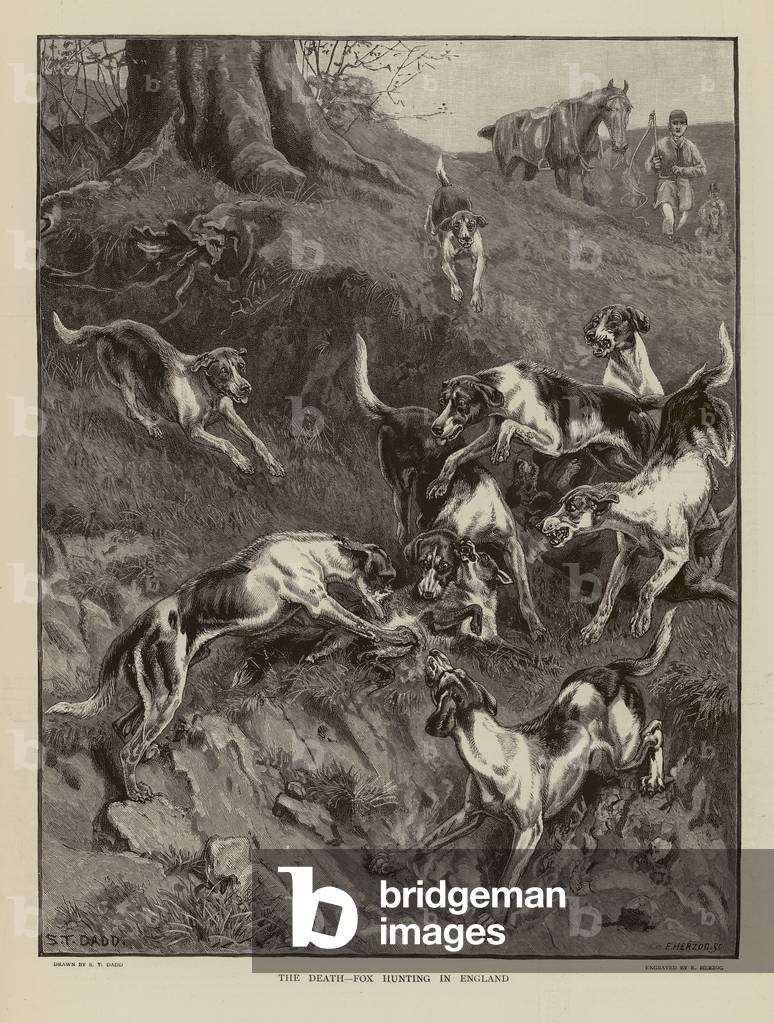 Bild von Gravur "Der Tod" von Stephen T. Dadd