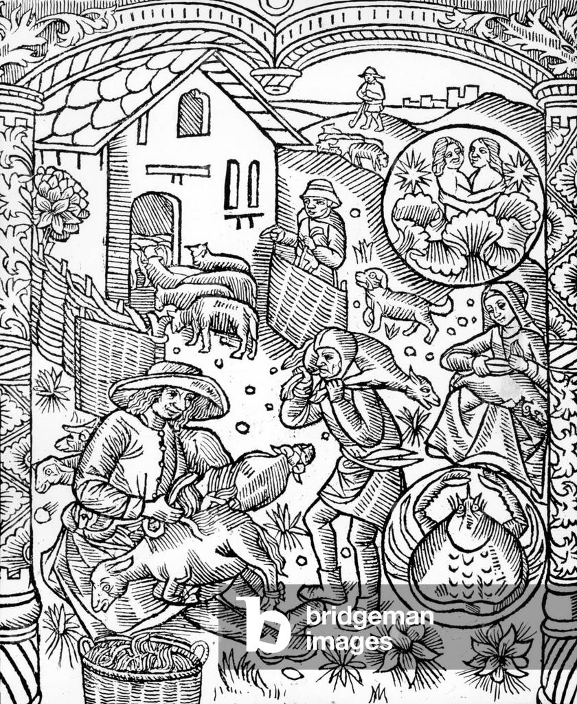 "Sternzeichen: Zwillinge und Krebs (Juni): Monate zum Scheren von Schafen" 1529, b/w