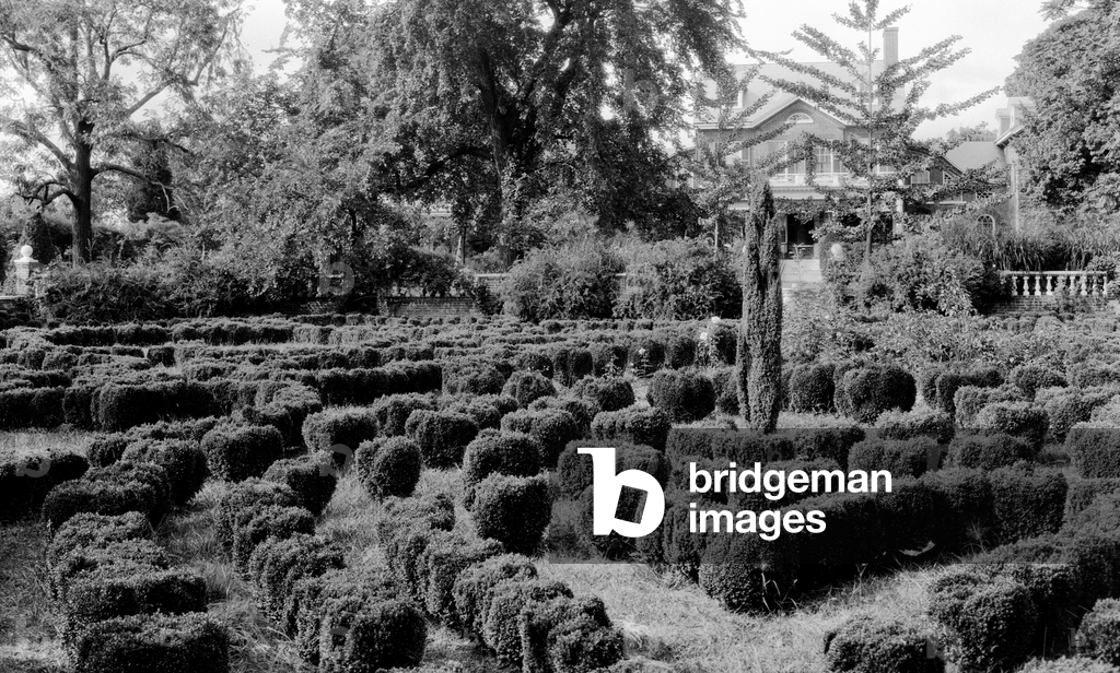 1935 (photo)