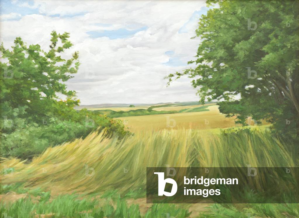 Campo Confine sopra Upton Lovell, 2011 (olio su tela)