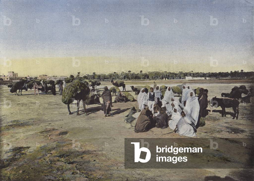 Bild von Fotografie "Wohnwagen Apportant De L'Alfa (Farbfoto)" von European Photographer