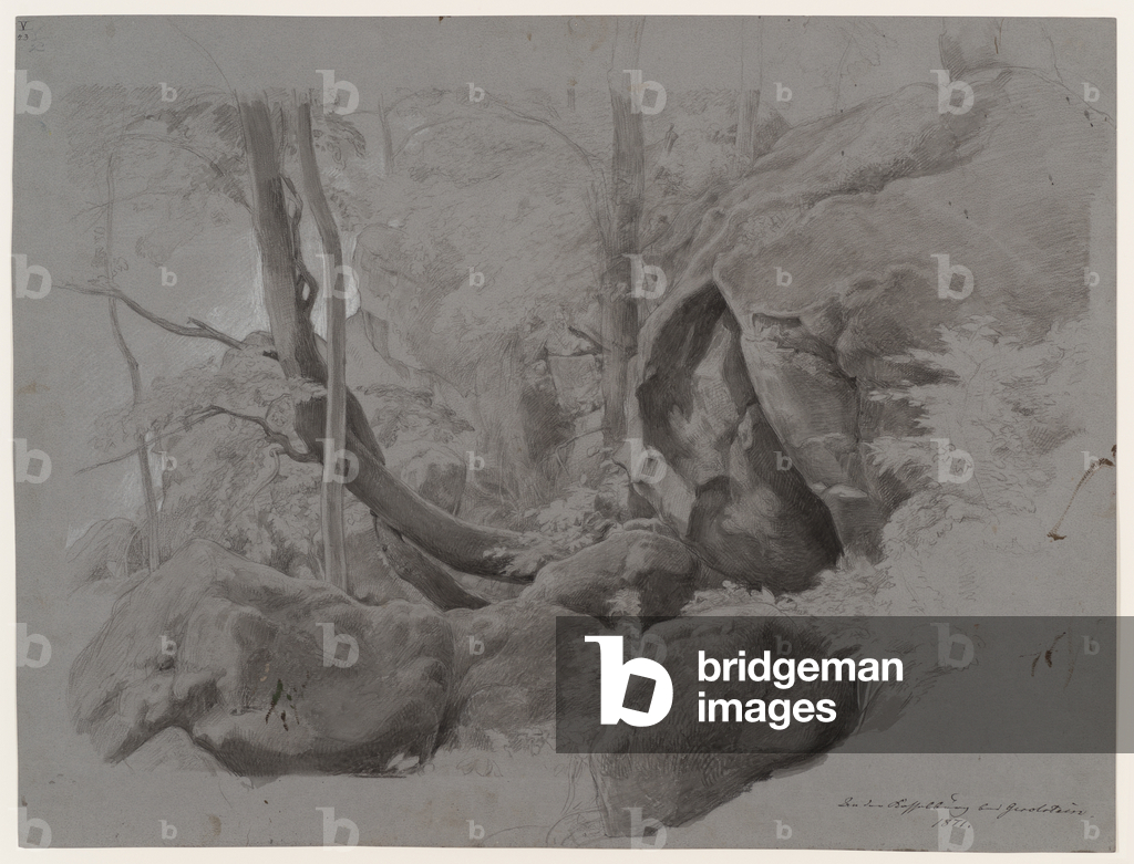 Foresta interna con rocce e ceppi d'albero, 1871 (lavaggio grigio, carboncino e gessetto bianco su carta)