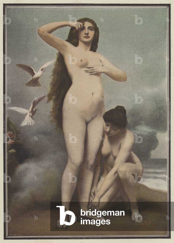 Venus (colore lito)