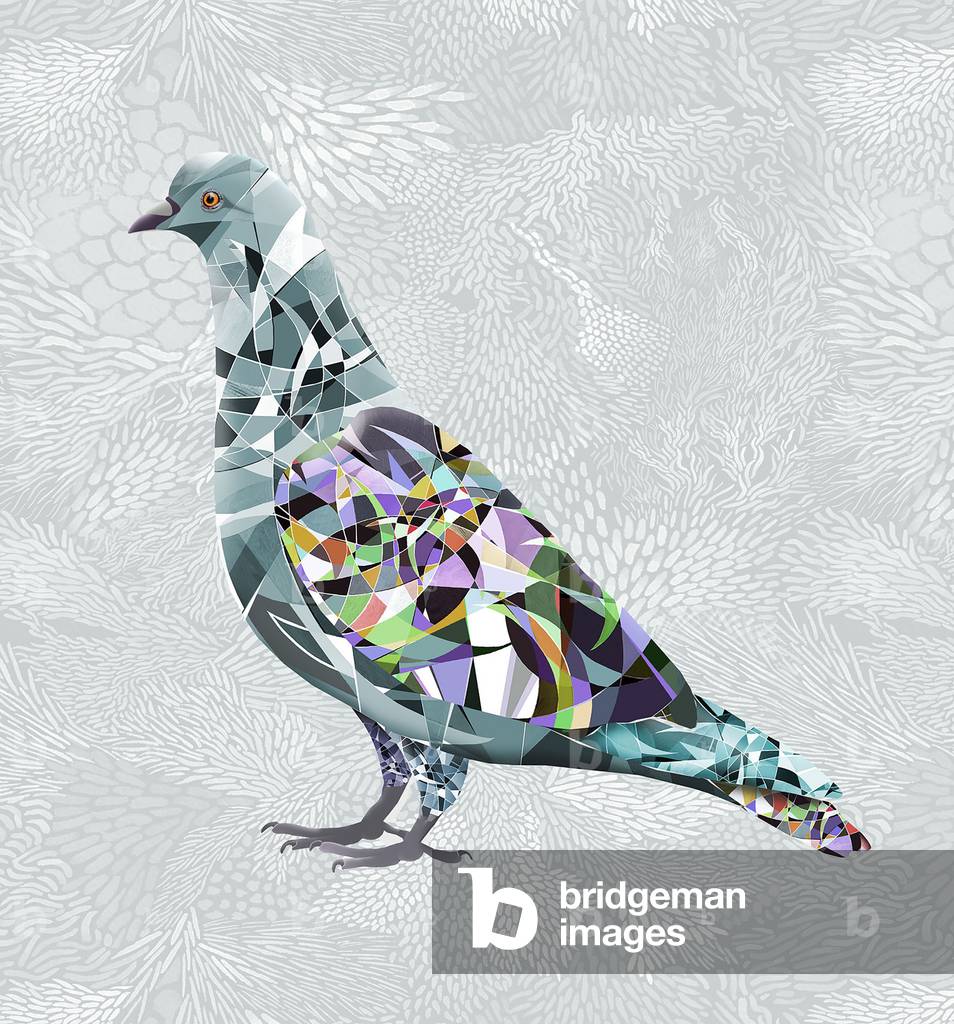 "Pigeon" 2017 von Rupert Newman