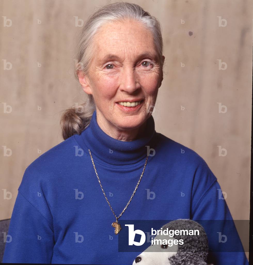 Image de Photographie représentant JANE GOODALL 2001 par Louis Monier