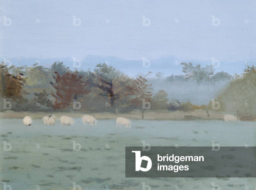 Pecore al pascolo; Misty Morning, 1993 (olio su tavola)
