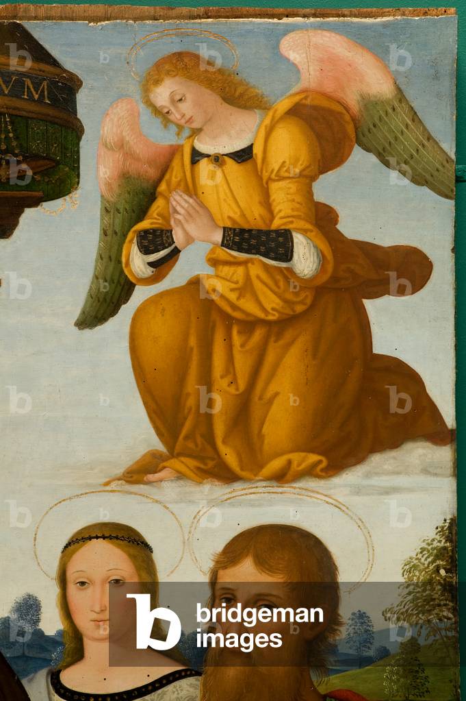 Thronende Madonna und Jesuskind, Hl. Apostel Petrus, Heilige Katharina von Alexandrien, Hl. Agatha, Apostel Pa