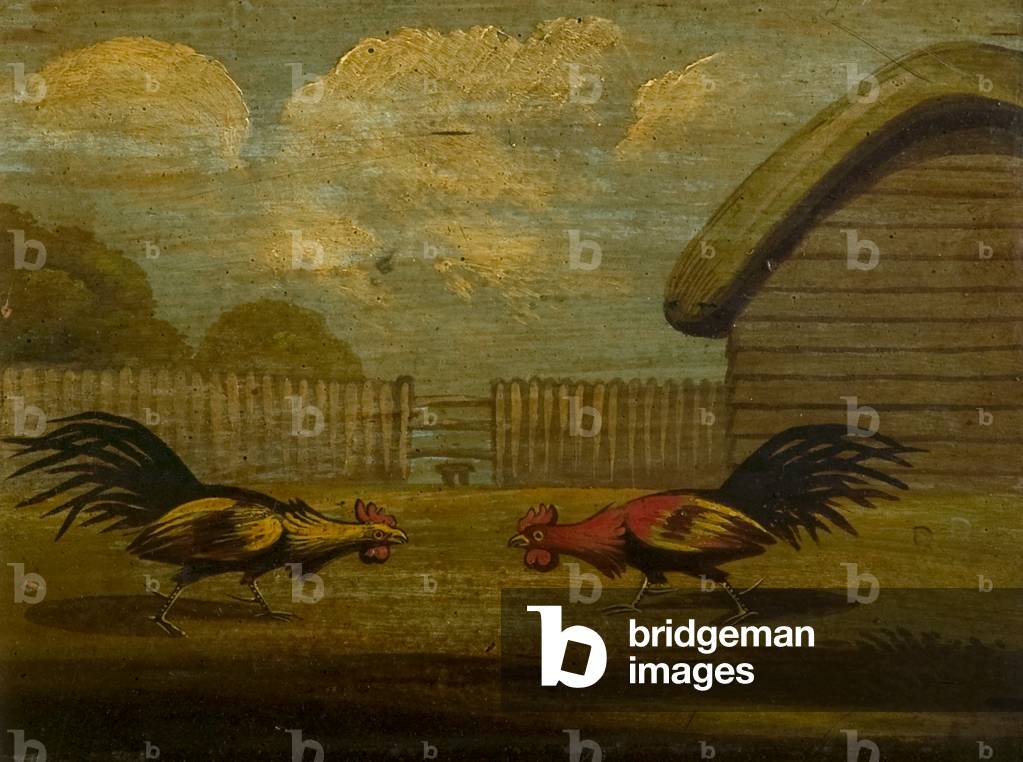 Immagine di Stampa "Two Cocks Fighting (olio su cartoncino)" di Unknown Artist
