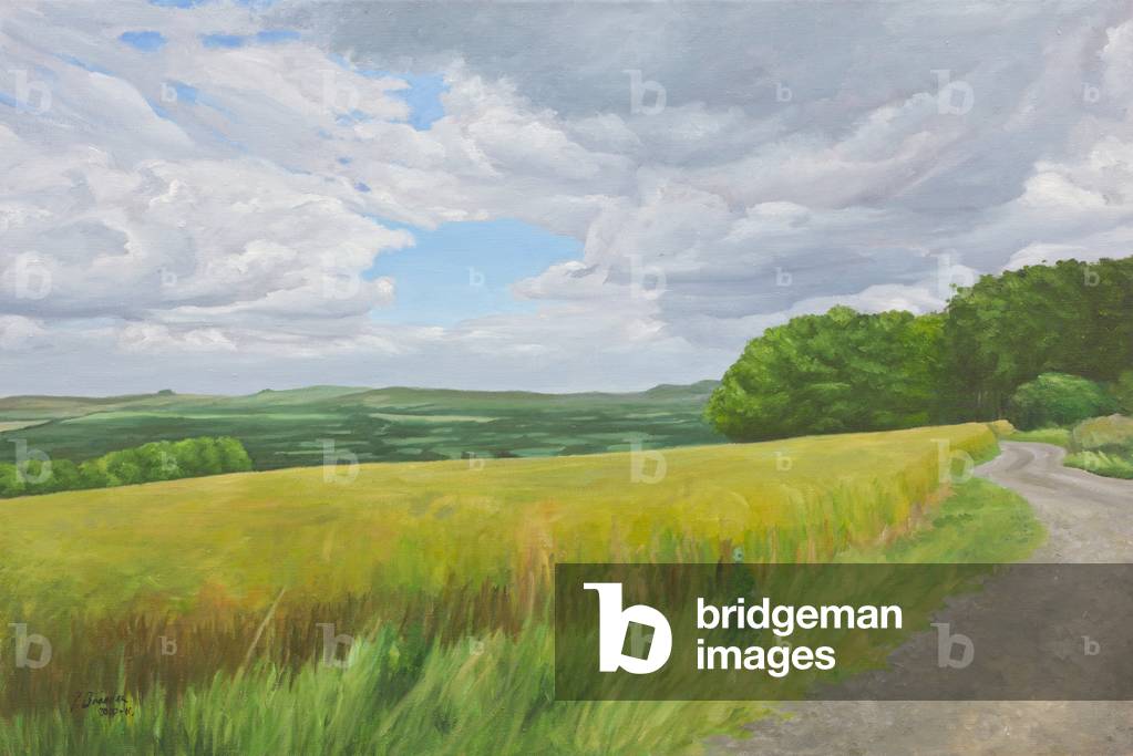 Wessex Ridgeway e Pewsey Downs Oltre, 2011 (olio su tela)