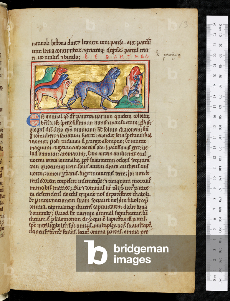Image of Manuscript depicting The Ashmole Bestiary 1201