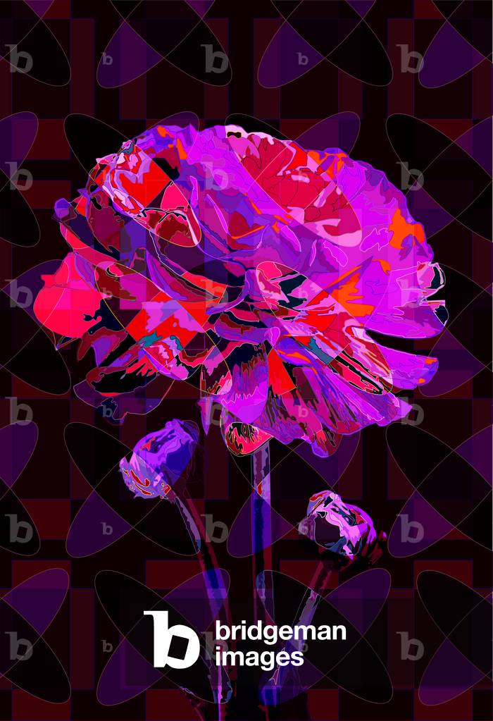 Image de Art numérique représentant Carnation4 2019 par Scott J. Davis