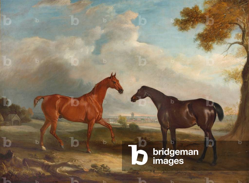 Bild von Gemälde "Zwei Jäger namens “Cock Robin” und “Langar”" von John E. Ferneley