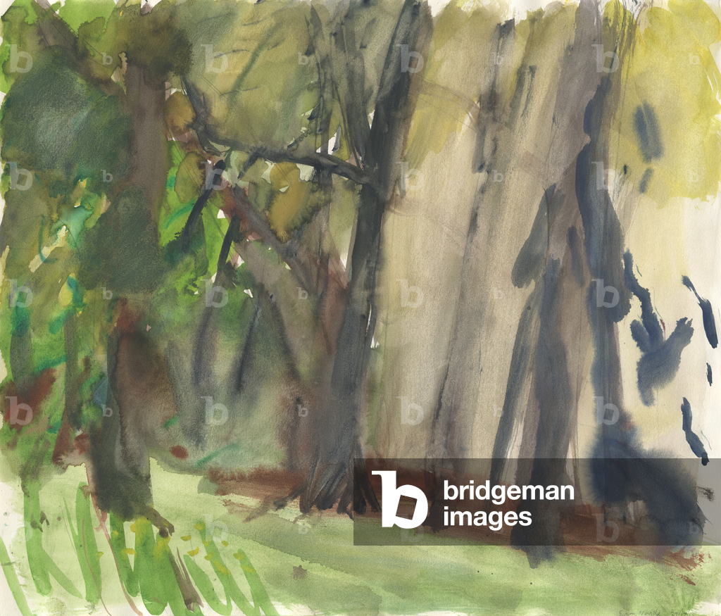 Image of Drawing depicting Garden and wetland 2013 by Simon Neville