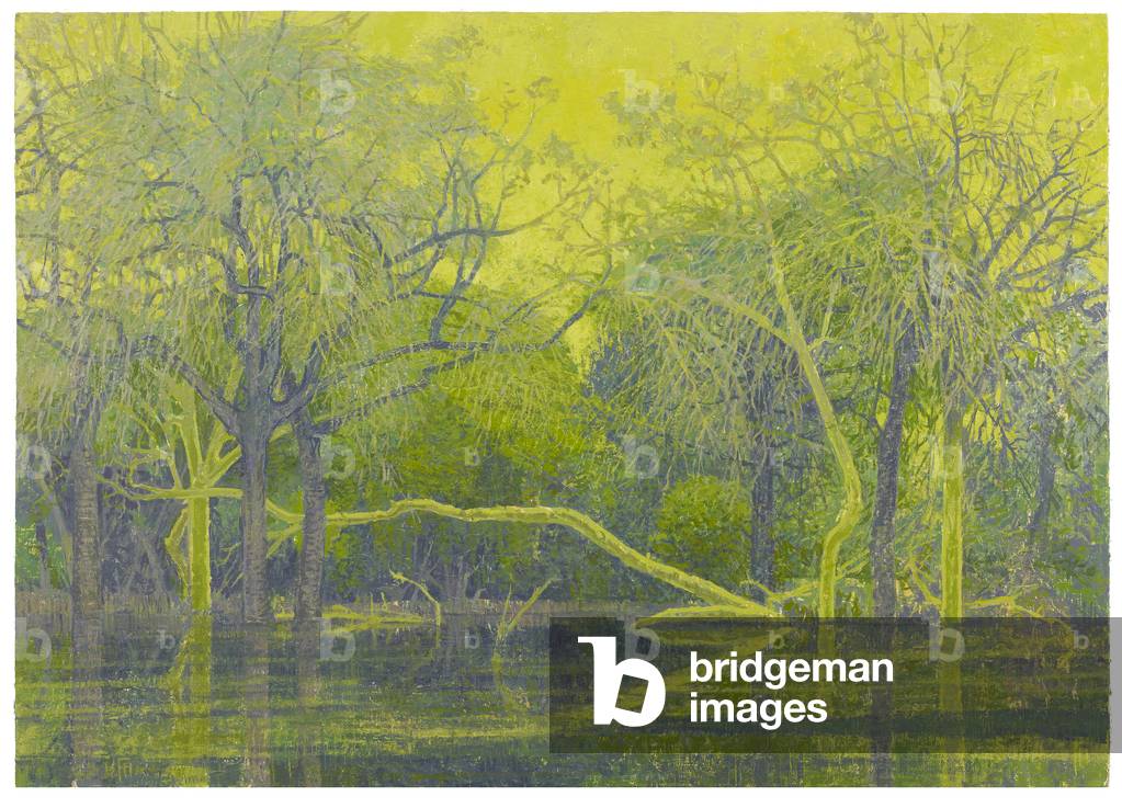 Fever Tree Pool, 2017 (Öl auf Leinen)